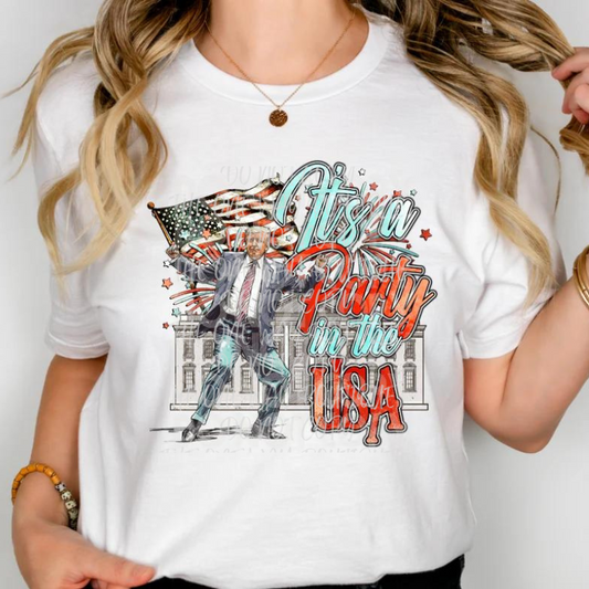 It's a Party in the USA Graphic